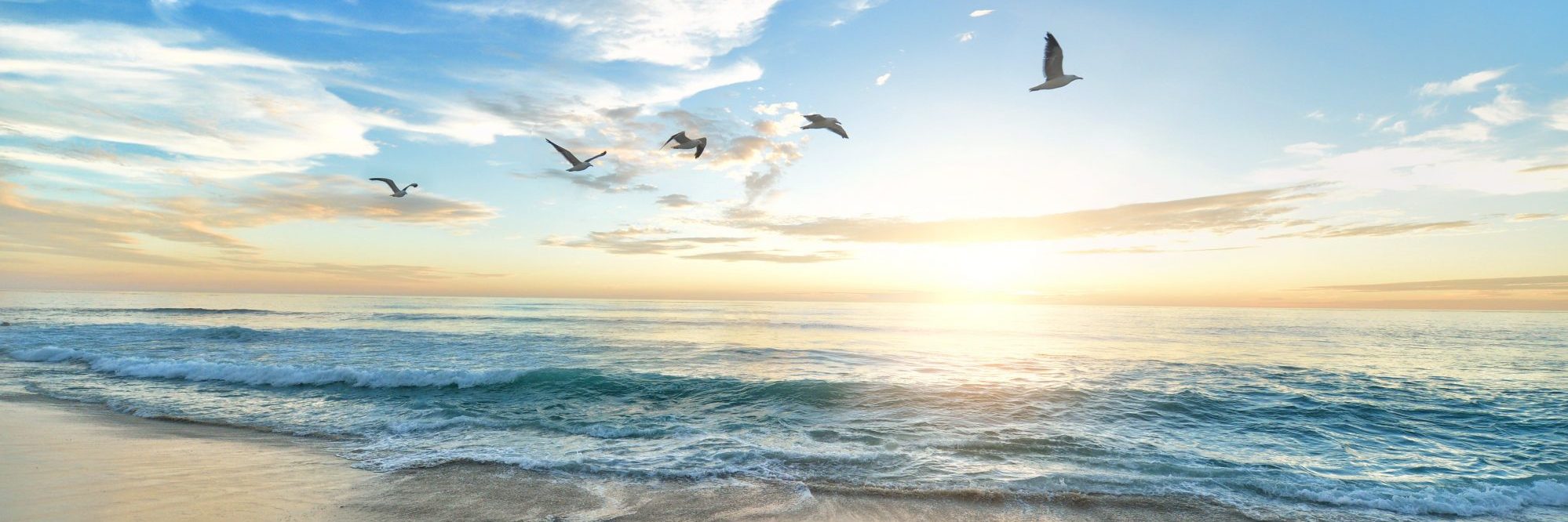 Sea Song Publications